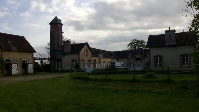 Le haras en fer à cheval