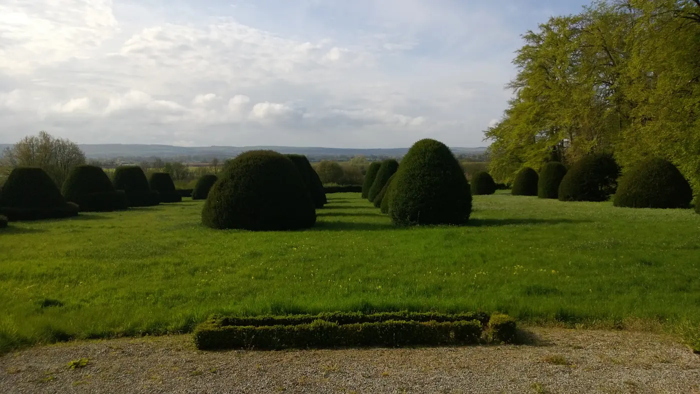 Plantation d'ifs centenaires